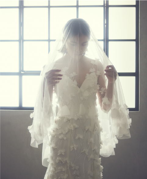 dress3